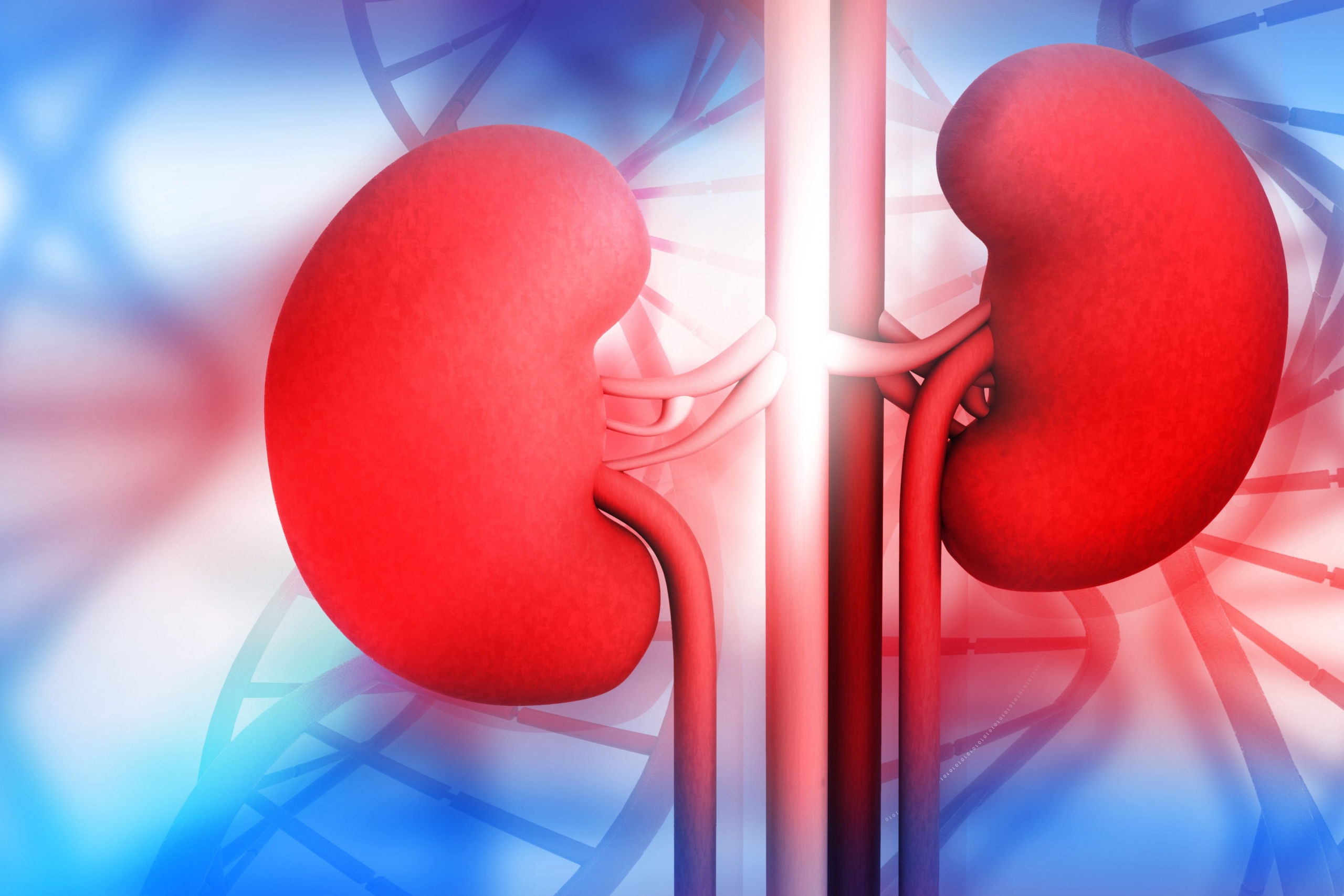 ai-applications-for-managing-chronic-kidney-disease-emerj-artificial